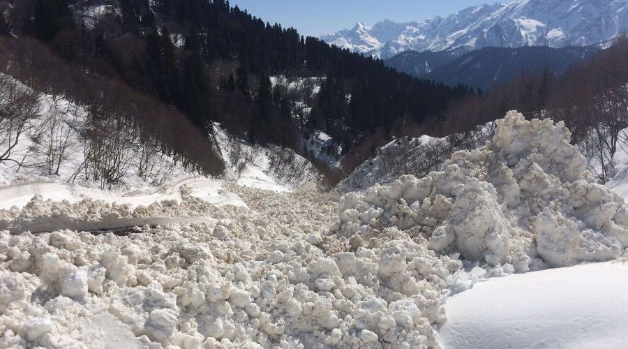  &copy;&nbsp;Фото Кавказского заповедника