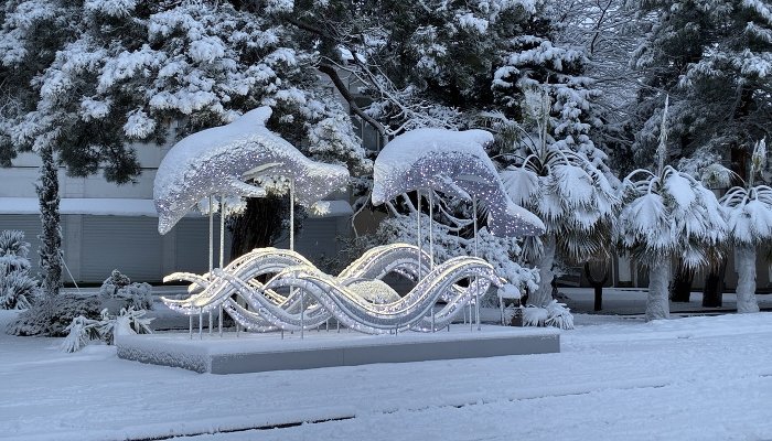 Геленджик завалило снегом