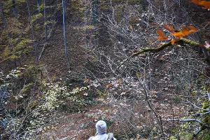 Водопады Руфабго в Адыгее &copy;&nbsp;Елена Синеок, ЮГА.ру