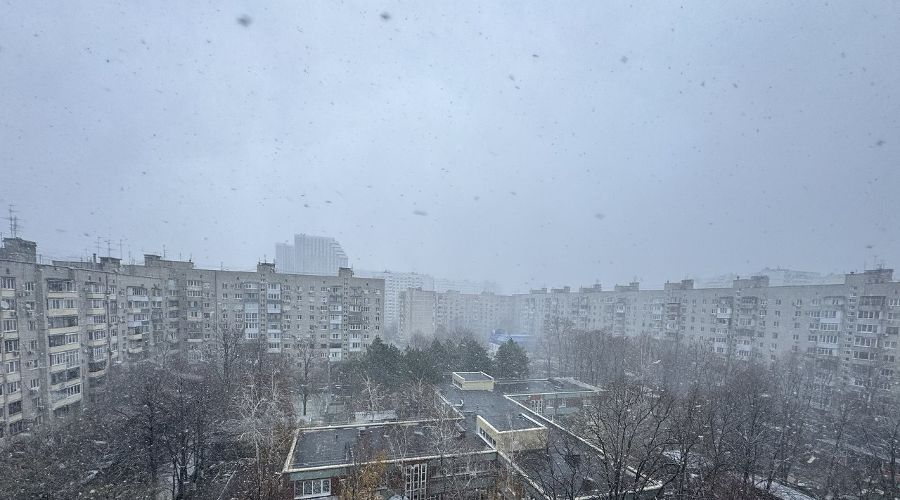  © Фото Марии Журавлевой, Юга.ру