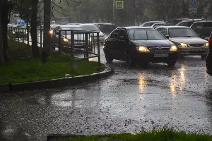  &copy;&nbsp;Фото Елены Синеок, Юга.ру