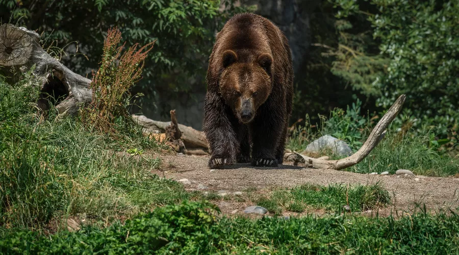  &copy;&nbsp;Фото пользователя wirestock с сайта freepik.com