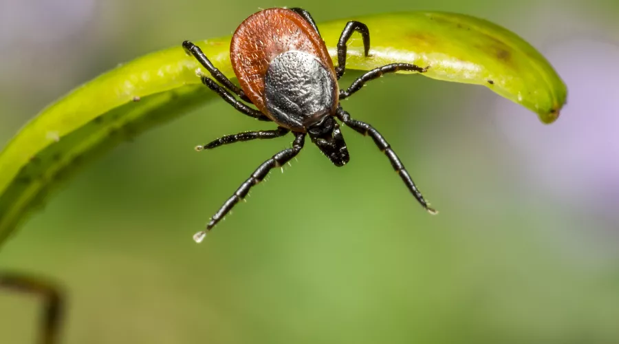  &copy;&nbsp;Фото erik-karits-2093459, сайт freepik.com