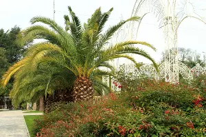 Сочи &copy;&nbsp;Фото Марины Солошко, Юга.ру