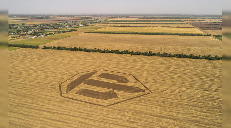  © Фото с сайта DTF, dtf.ru