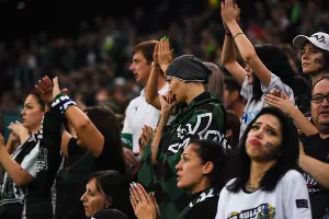 Матч «Краснодар» — «Хетафе», Краснодар, 4 октября 2019 года &copy;&nbsp;Фото Елены Синеок, Юга.ру