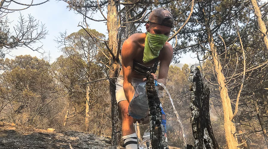 Пожар в заповеднике «Утриш» &copy;&nbsp;Фото Виталия Кавтарадзе