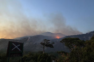Пожар в заповеднике «Утриш» &copy;&nbsp;Фото Виталия Кавтарадзе