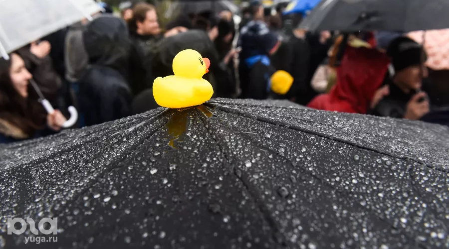 Акция сторонников Навального в Краснодаре &copy;&nbsp;Фото Елены Синеок, Юга.ру