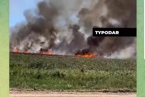 Пожар на Озере лотосов в Белозерном, 14 июля 2024 г. &copy;&nbsp;Скриншот публикации в телеграм-канале &laquo;Туподар&raquo;, t.me/typodar