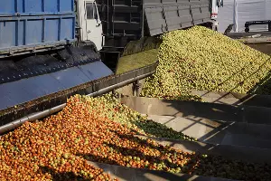  &copy;&nbsp;Фото торговой сети &laquo;Пятёрочка&raquo;