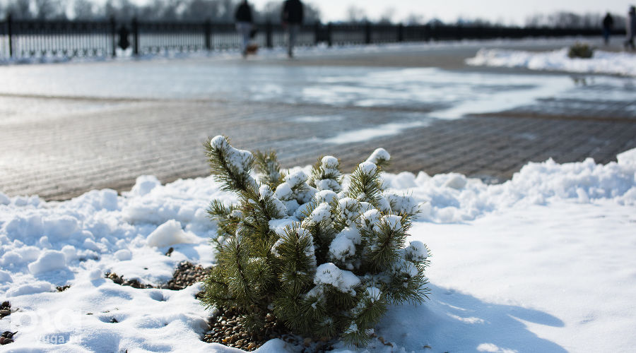  &copy;&nbsp;Фото Елены Синеок, Юга.ру