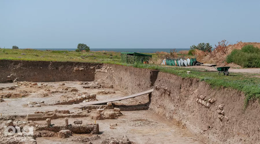  &copy;&nbsp;Фото Юли Шафаростовой, Юга.ру