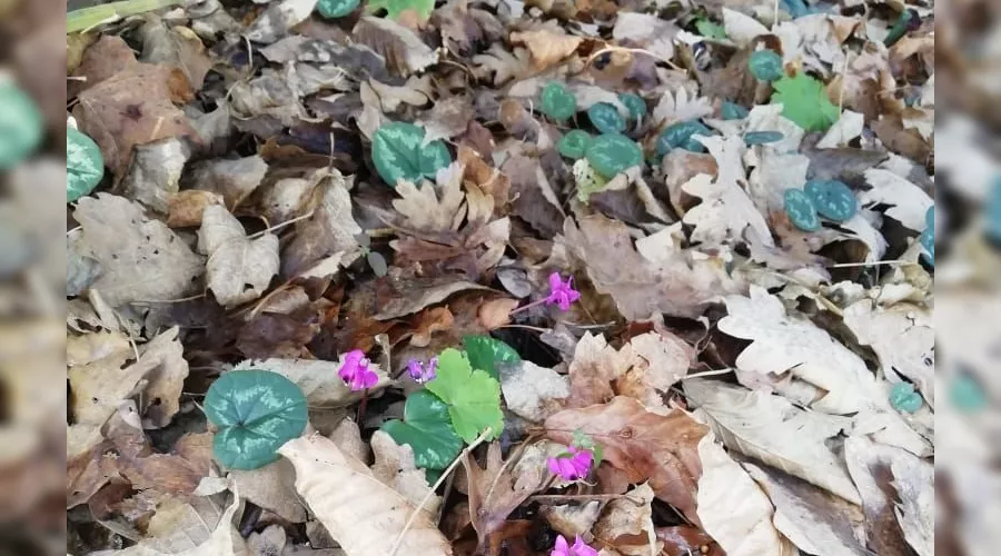  &copy;&nbsp;Фото Максима Богатырева