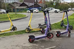  &copy;&nbsp;Фото Александры Прохоренковой-Аксеновой, Юга.ру