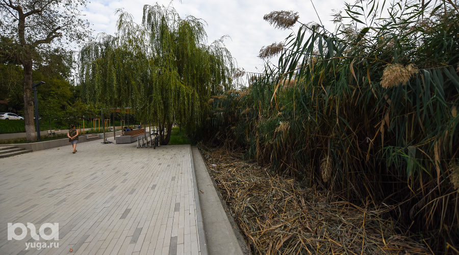 Дмитриевский сквер © Фото Елены Синеок, Юга.ру