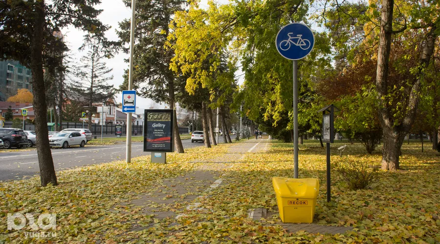  &copy;&nbsp;Фото Елены Синеок, Юга.ру