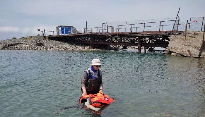  &copy;&nbsp;Фото Иолины Грибковой, Юга.ру