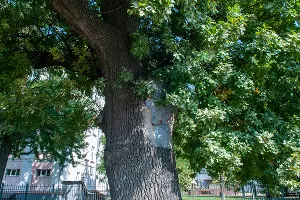  &copy;&nbsp;Фото Дмитрия Пославского, Юга.ру