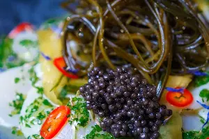 Gastreet-2017 &copy;&nbsp;Фото предоставлено организаторами