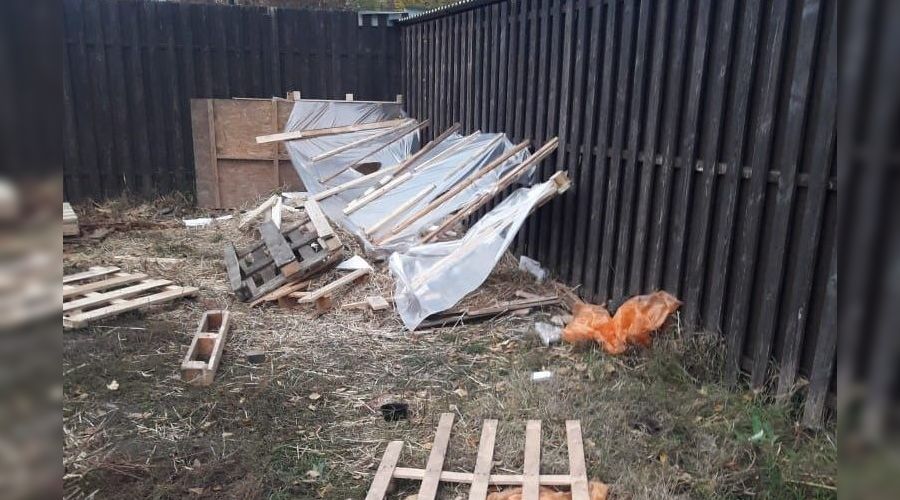  © Фото Валентины Раилко