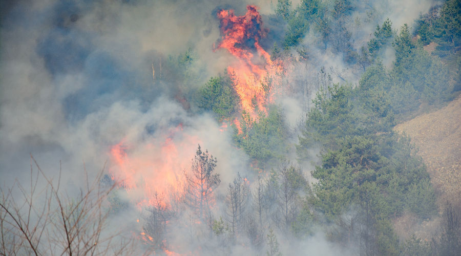 Пожар в Эльбрусском лесничестве © Фото Жамала Хаджиева, ГУ МЧС по КБР