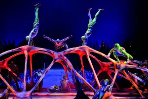 Cirque du Soleil с программой «Тотем» &copy;&nbsp;Фото с сайта CitiFox.ru