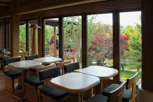 Типрессо-бар &laquo;Каппу Ча&raquo; в Японском саду &copy;&nbsp;Фото Марины Солошко, Юга.ру