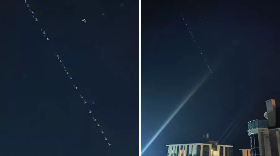  &copy;&nbsp;Коллаж фото Вероники Афанасьевой