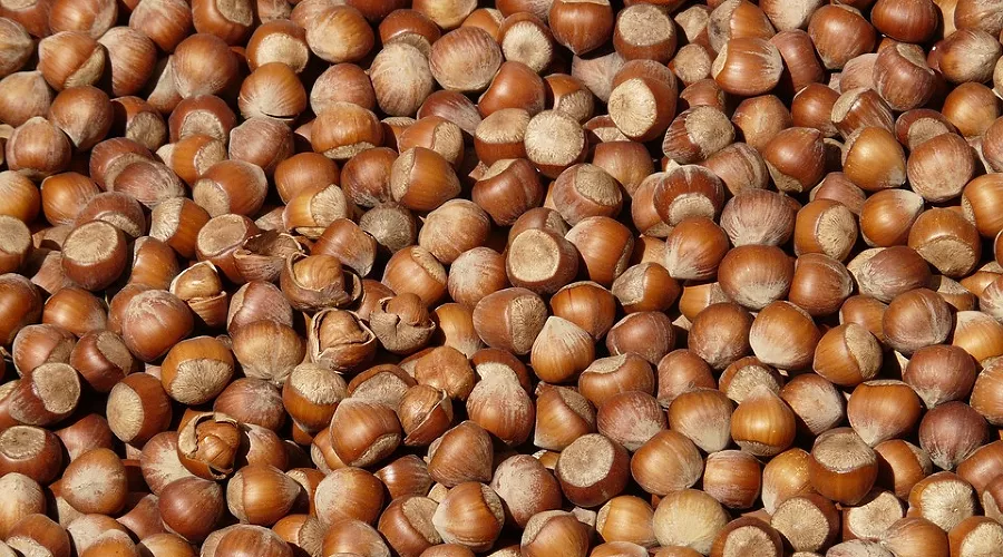  &copy;&nbsp;Фото с сайта pixabay.com