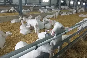  &copy;&nbsp;Фото Юлии Барановой, Юга.ру