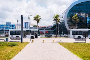  &copy;&nbsp;Фото Игоря Старкова, unsplash.com