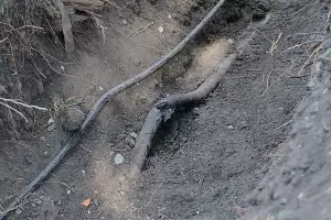  &copy;&nbsp;Фото пресс-службы администрации Краснодара