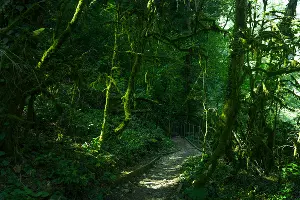  &copy;&nbsp;Фото AmixStudio, freepik.com