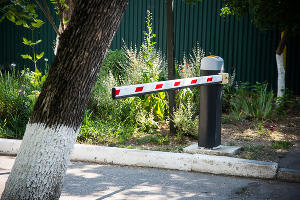  &copy;&nbsp;Фото Елены Синеок, Юга.ру