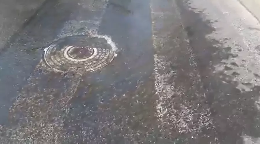  &copy;&nbsp;Скриншот из видео &laquo;Живой Кубани&raquo;