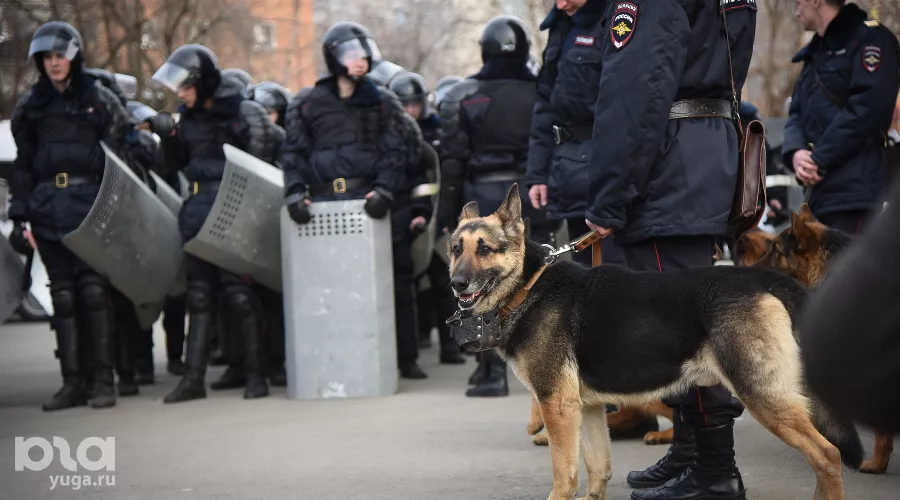  &copy;&nbsp;Фото Елены Синеок, Юга.ру