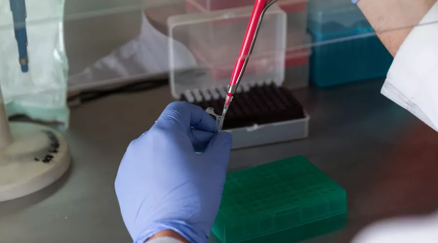  &copy;&nbsp;Фото Jarmoluk с сайта pixabay.com