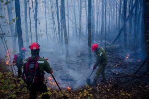  © Фото Алисы Пелешенко со страницы vk.com/dobrofire