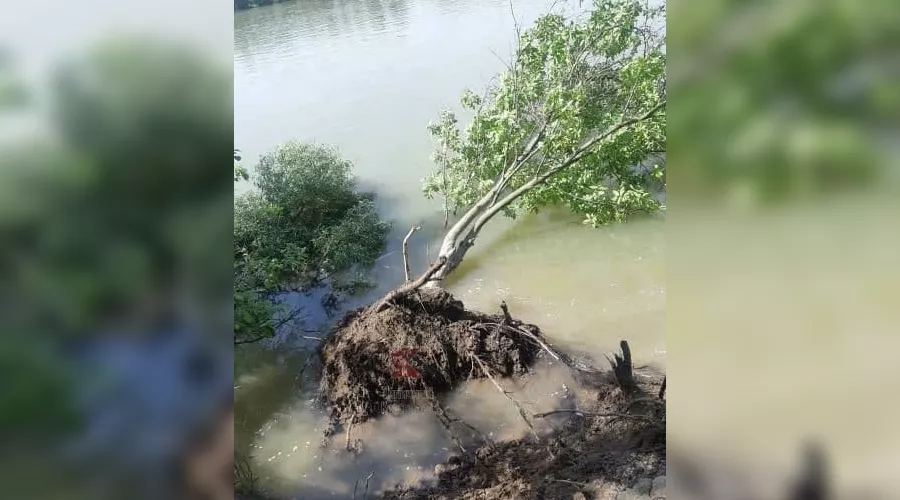  &copy;&nbsp;Фото из паблика &laquo;Типичный Краснодар&raquo; во &laquo;ВКонтакте&raquo;, vk.com/typical_krd