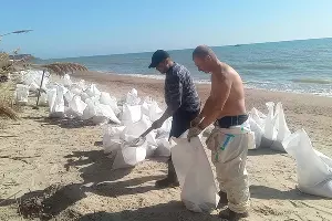  &copy;&nbsp;Скриншот фото из телеграм-канала штаба &laquo;Дельфины&raquo;