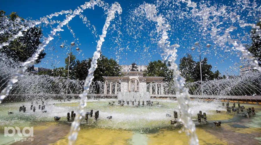  &copy;&nbsp;Фото Елены Синеок, Юга.ру