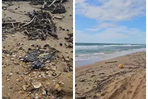  &copy;&nbsp;Скриншот из телеграм-канала Юрия Озаровского https://t.me/MoreOz/108784