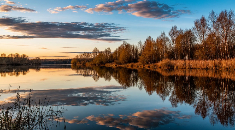 река &copy;&nbsp;сгенерировано с помощью нейросети shedevrum