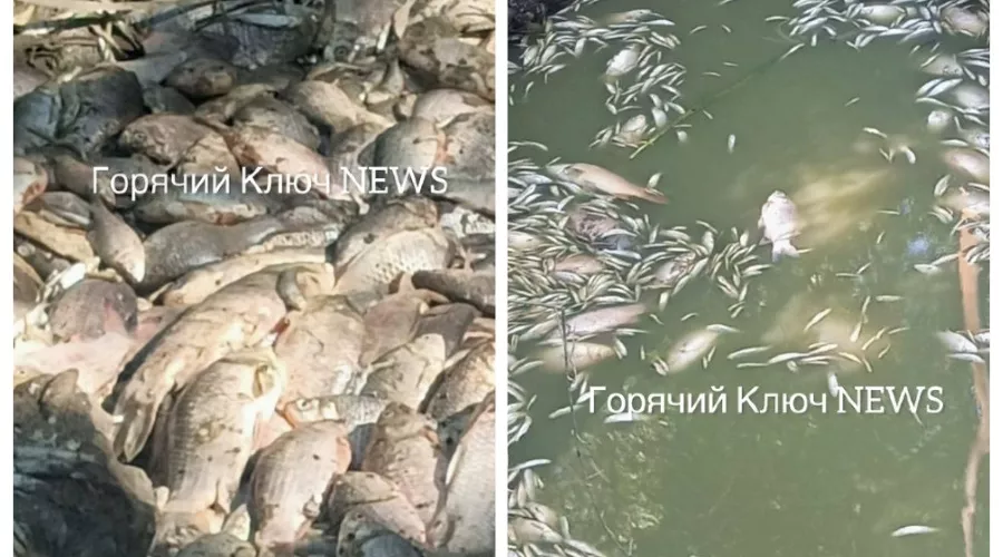  &copy;&nbsp;Скриншот из телеграм-канала &laquo;Горячий Ключ News&raquo; https://t.me/gk_news1/71782