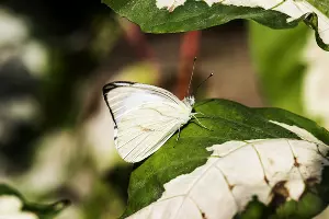  &copy;&nbsp;Фото пользователя rawpixel.com с сайта freepik.com