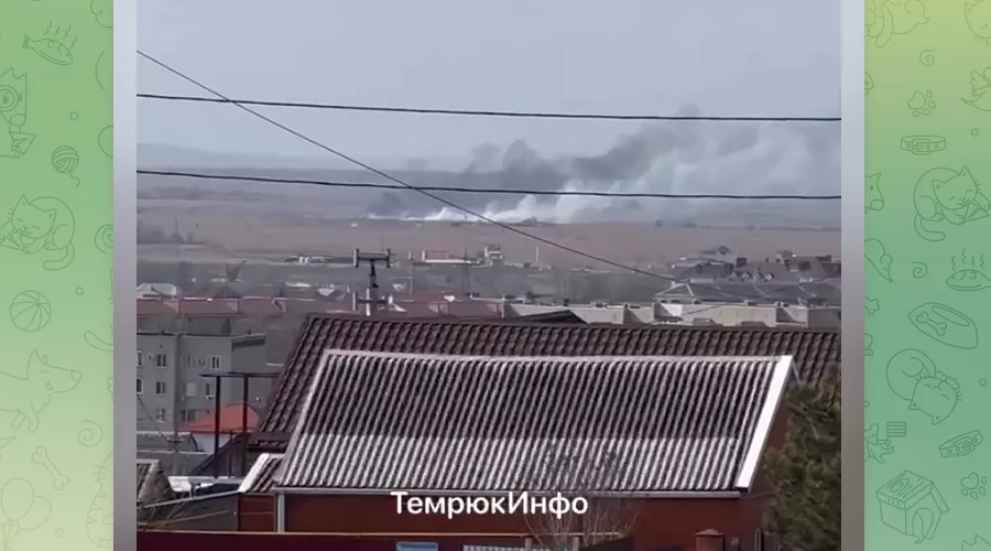 Пожар в плавнях Темрюка, 25 февраля 2023 г. &copy;&nbsp;Скриншот видео телеграм-канала &laquo;Темрюк Инфо&raquo;, t.me/temruk_info