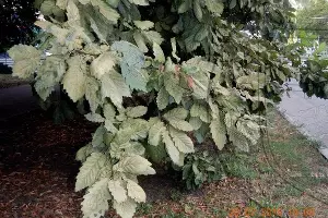  &copy;&nbsp;Фото пресс-службы Кавказского биосферного заповедника