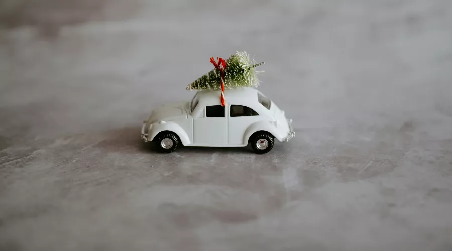  &copy;&nbsp;Фото Annie Spratt с сайта Unsplash.com