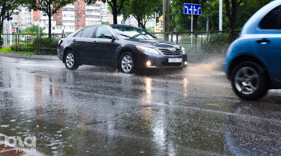  © Фото Елены Синеок, Юга.ру